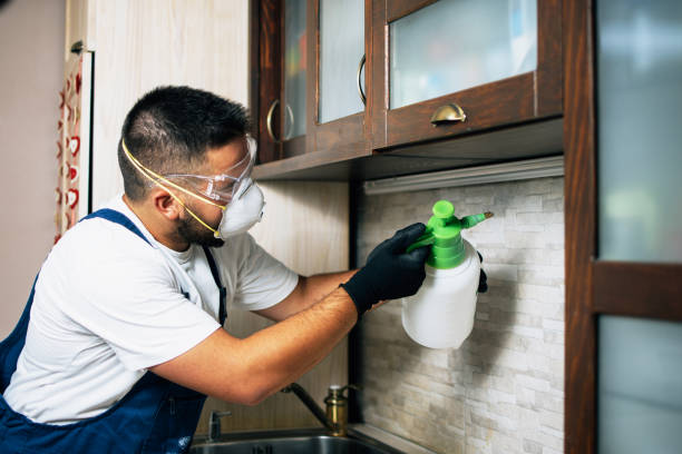 Best Pest Control for Businesses  in Lafayette, GA