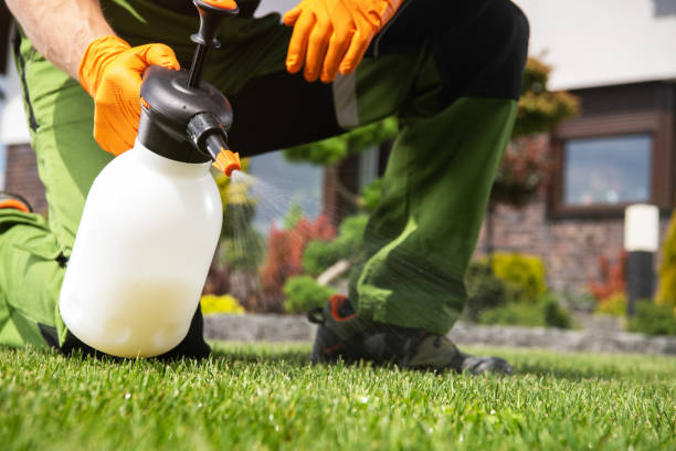 Best Mosquito Control Services  in Lafayette, GA