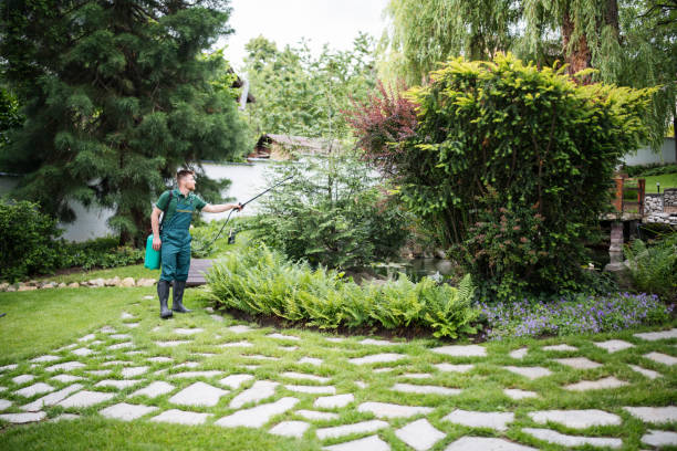 Best Residential Pest Control  in Lafayette, GA