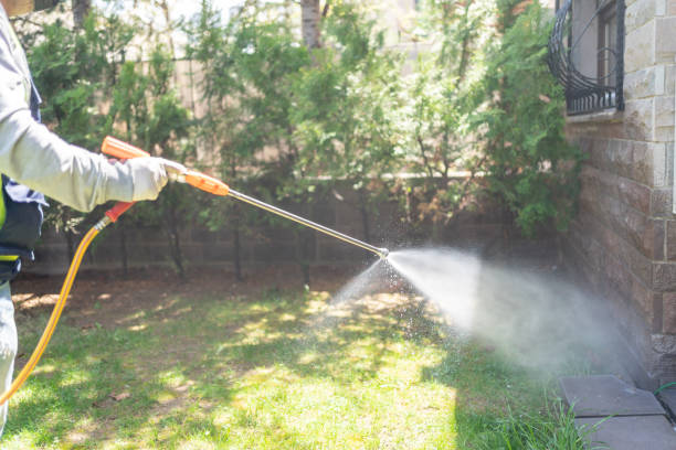 Best Residential Pest Control  in Lafayette, GA