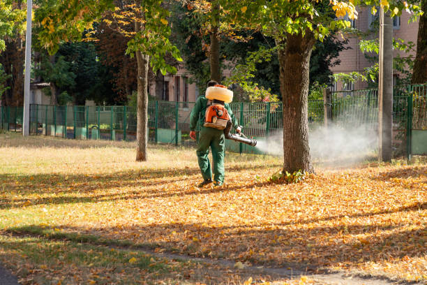 Best Best Pest Control Companies  in Lafayette, GA