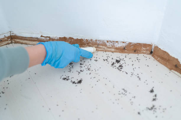 Best Pest Control for Restaurants  in Lafayette, GA