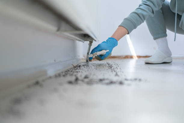 Best Emergency Pest Control  in Lafayette, GA